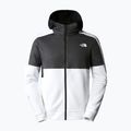 Vyriški trekingo džemperiai The North Face MA Full Zip Fleece Fleece white NF0A823PRL61