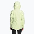 Moteriška striukė nuo lietaus The North Face Stolemberg 3L Dryvent green NF0A7ZCHN131 2