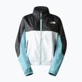 Moteriška vėjo striukė The North Face MA Wind Full Zip white-grey-blue NF0A825DIKF1 5