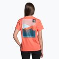 Moteriški trekingo marškinėliai The North Face Foundation Graphic orange NF0A55B2LV31 2