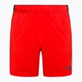 Vyriški bėgimo šortai The North Face 24/7 red NF0A3O1B15Q1