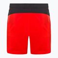 Vyriški bėgimo šortai The North Face 24/7 red NF0A3O1B15Q1 2