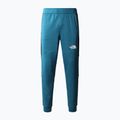 Vyriškos bėgimo kelnės The North Face MA Pant Fleece blue NF0A823UES31