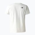 Vyriški trekingo marškinėliai The North Face Foundation Graphic white NF0A55EFQ4C1 2