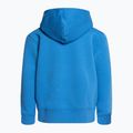 Vaikų trekingo džemperis The North Face Drew Peak P/O Hoodie blue NF0A82ENLV61 2