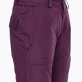 Moteriškos snieglenčių kelnės Volcom Knox Ins Gore-Tex blackberry 10