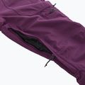 Moteriškos snieglenčių kelnės Volcom Knox Ins Gore-Tex blackberry 14