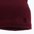 The North Face Bones Recycled žieminė kepurė raudona NF0A3FNS6R31 3