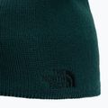 The North Face Bones Recycled žalia žieminė kepurė NF0A3FNSD7V1 3