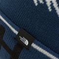 Vaikiška slidinėjimo kepurė The North Face Ski Tuke blue NF0A7WG6HDC1 3