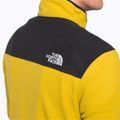 Vyriški vilnoniai džemperiai The North Face Homesafe Snap Neck Fleece Pullover yellow NF0A55HM76S1 5