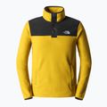 Vyriški vilnoniai džemperiai The North Face Homesafe Snap Neck Fleece Pullover yellow NF0A55HM76S1 8
