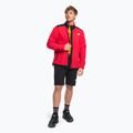 Vyriški vilnoniai džemperiai The North Face Alpine Polartec 200 FZ red NF0A7WWLKZ31 2