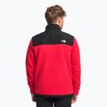 Vyriški vilnoniai džemperiai The North Face Alpine Polartec 200 FZ red NF0A7WWLKZ31 4