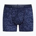 Vyriškos termoaktyvios trumpikės Icebreaker Merino 150 Anatomica Moss Bloom midnight navy/aop