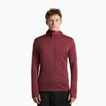 Vyriškas džemperis Icebreaker Merino 260 Quantum IV LS Zip Hoodie port/agate