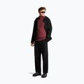Vyriškas džemperis Icebreaker Merino 260 Quantum IV LS Zip Hoodie port/agate 2