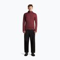 Vyriškas džemperis Icebreaker Merino 260 Quantum IV LS Zip Hoodie port/agate 4