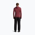 Vyriškas džemperis Icebreaker Merino 260 Quantum IV LS Zip Hoodie port/agate 5