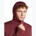Vyriškas džemperis Icebreaker Merino 260 Quantum IV LS Zip Hoodie port/agate 6