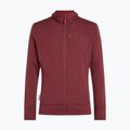 Vyriškas džemperis Icebreaker Merino 260 Quantum IV LS Zip Hoodie port/agate 10