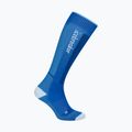 Vyriškos slidinėjimo kojinės Icebreaker Merino Ski+ lazuri/snow/midnavy 2