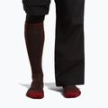 Vyriškos slidinėjimo kojinės icebreaker Merino Ski+ Medium OTC bittersweet/port/black 3
