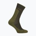 Vyriškos kojinės Icebreaker Merino Hike+ Medium Crew dark loden/sphagnum 2