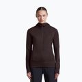 Moteriškas džemperis Icebreaker Merino 260 Quantum IV LS Zip Hoodie bittersweet