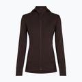 Moteriškas džemperis Icebreaker Merino 260 Quantum IV LS Zip Hoodie bittersweet 9