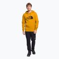 Vyriški džemperiai The North Face Drew Peak Pullover Hoodie yellow NF00AHJY76S1 2