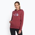 Moteriški džemperiai The North Face Drew Peak Pullover Hoodie wild ginger NF0A55EC6R41