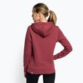 Moteriški džemperiai The North Face Drew Peak Pullover Hoodie wild ginger NF0A55EC6R41 4