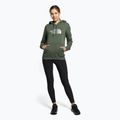 Moteriški džemperiai The North Face Drew Peak Pullover Hoodie green NF0A55ECNYC1 2