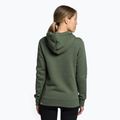 Moteriški džemperiai The North Face Drew Peak Pullover Hoodie green NF0A55ECNYC1 4