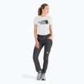 Moteriškos trekingo kelnės The North Face AO Winter Slim Straight Grey NF0A7Z8B0C51 2
