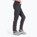 Moteriškos trekingo kelnės The North Face AO Winter Slim Straight Grey NF0A7Z8B0C51 3