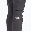 Moteriškos trekingo kelnės The North Face AO Winter Slim Straight Grey NF0A7Z8B0C51 8