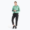 Moteriškos softshello striukės The North Face AO Softshell Hoodie green NF0A7ZE990Q1 2