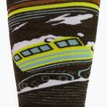 Vyriškos Smartwool snieglenčių kojinės Targeted Cushion Piste Machine OTC green SW001922D11 4