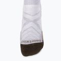 Moteriškos žygio kojinės Smartwool Hike Light Cushion Tube Stripe Crew purple eclipse 4
