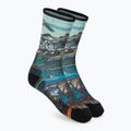 Moteriškos sportinės kojinės Smartwool Hike Light Cushion Icy Range Print Crew colorful SW001988150