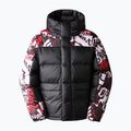 Vyriškos pūkinės striukės The North Face Printed Hmlyn Down Parka black NF0A5J1J99A1