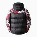 Vyriškos pūkinės striukės The North Face Printed Hmlyn Down Parka black NF0A5J1J99A1 2