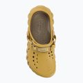 Šlepetės Crocs X-Echo Clog desert grass 6