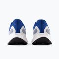 New Balance Fresh Foam Arishi v4 blue vyriški bėgimo bateliai MARISLB4.D.090 14
