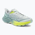 Moteriški bėgimo bateliai HOKA Speedgoat 5 mercury/trellis