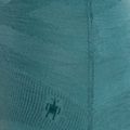 Moteriški termoaktyvūs marškinėliai Smartwool Intraknit Thermal Merino Baselayer Pattern Crew cascade 6
