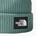 Žieminė kepurė The North Face Salty dark sage 2