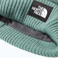 Žieminė kepurė The North Face Salty dark sage 3